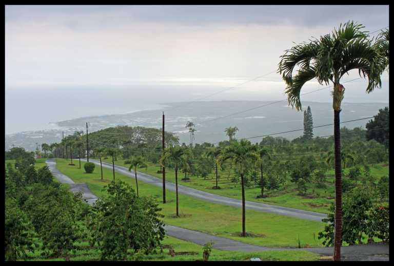 Looking over the Ueshima Coffee Company estate and down on Kona and the Pacific.