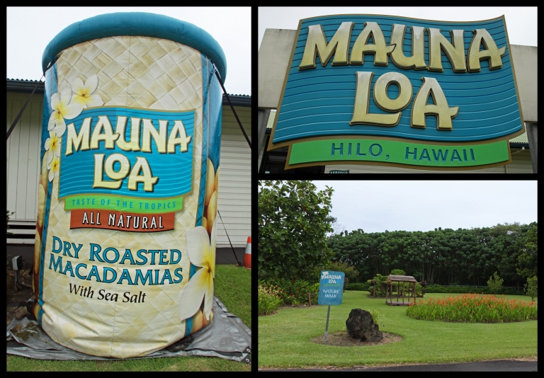 Much more of a quick stop than an actual destination, the Macadamia Nut Farm in Hilo has a very short tour of their factory, a mini nature walk, and a multitude of free samples.